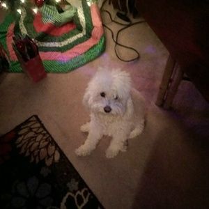 Meet your Posher, Marianne